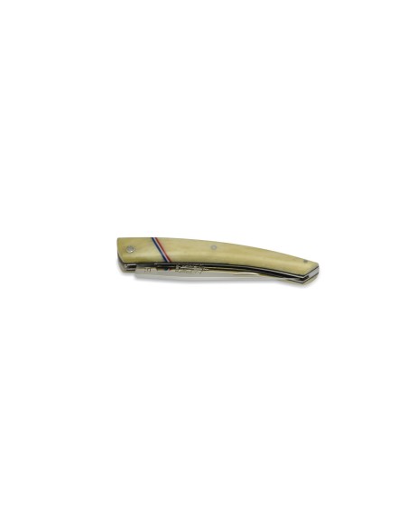 Le Thiers ® Frenchie, plein manche en os de 12 cm, finition brillant