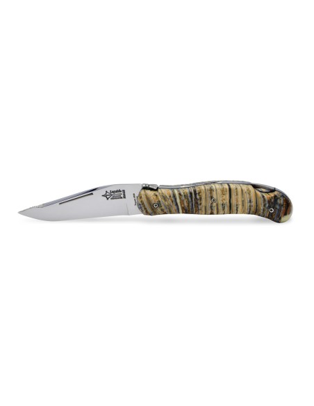 Laguiole Nature en Molaire de Mammouth 12 cm