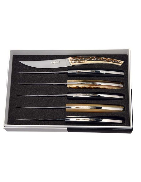 Coffret de 6 couteaux de table Le Thiers ® prestige, plein manche en pointe de corne variées, finition mat