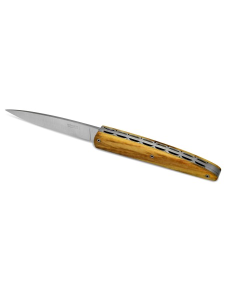 Arbalete folding knife, double plates, 12 cm olive wood handle, matt finish