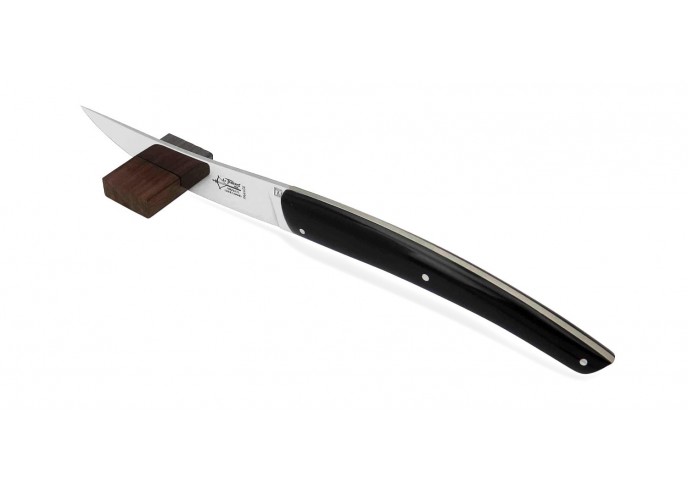 Box with 6 steak knives Le Thiers ® Original, 12 cm black acrylic handle, matt finish