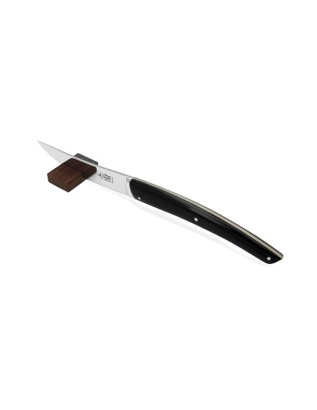 Coffret de 6 couteaux de table  Le Thiers ® Manches en acrylique noir, finition mat