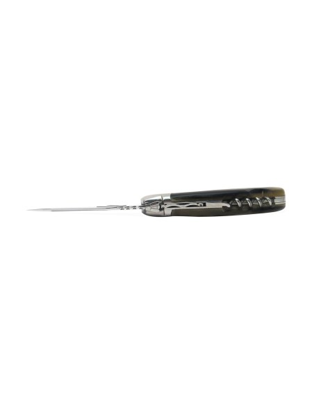 Laguiole Nature Prestige 2 pièces  en Corne de Bélier 12 cm