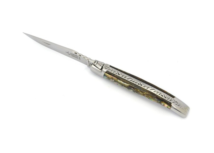 Laguiole folding knife for Ladies, abalone handle, shiny finish