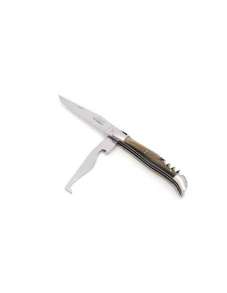 Laguiole horse rider folding knife, blond horn tip handle, shiny finish