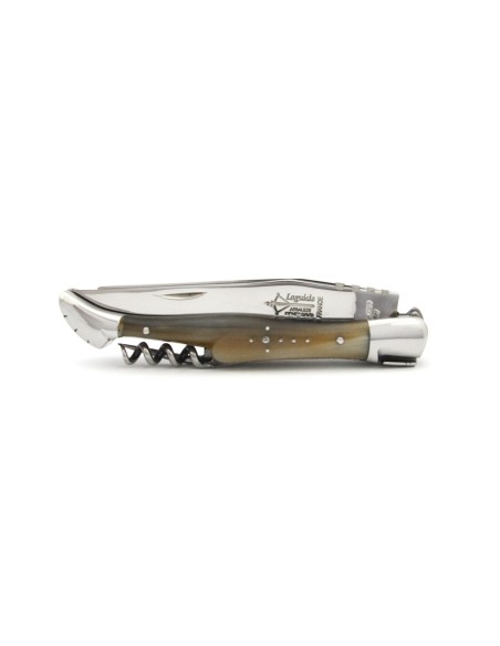 Laguiole horse rider folding knife, blond horn tip handle, shiny finish
