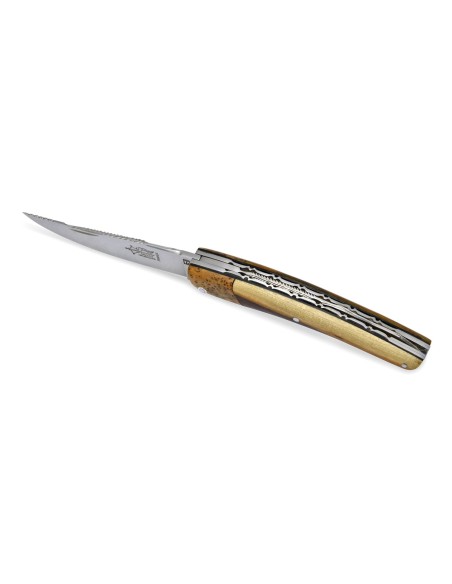 Le Thiers ® pliant fausse mitre en genévrier, ciselé main, doubles platines, manche en pistachier de 12 cm
