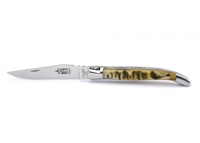 Laguiole folding knife Forged 12 cm, ram's horn handle, shiny finish