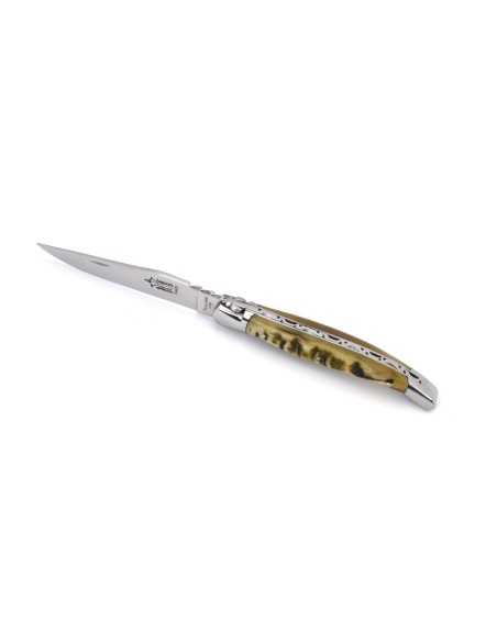 Laguiole folding knife Forged 12 cm, ram's horn handle, shiny finish