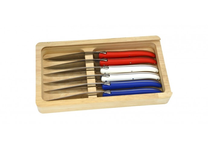Coffret de 6 couteaux de table Laguiole, manche en Pom bleu et blanc et rouge, lave-vaisselle