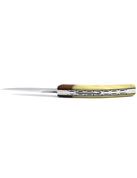 Le Thiers ® Prestige folding knife, false bolster snakewood, 12 cm blond horn tip handle, shiny finish