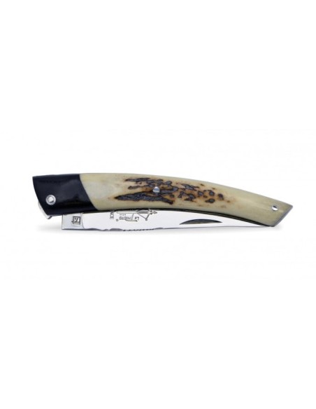 Le Thiers® knife False bolster ebony wood, 12 cm deer antlers handle