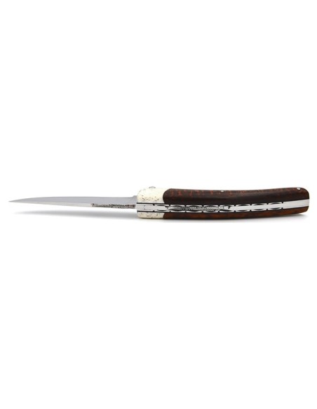 Le Thiers ® pliant, fausse mitre en os, manche en amourette de 12 cm, finition brillant