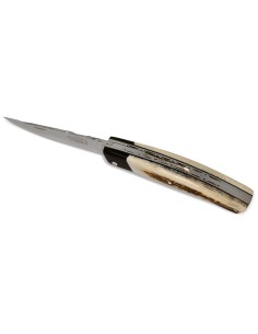 Le Thiers ® Prestige folding knife, false bolster in ebony wood, 12 cm deer antler handle, shiny finish