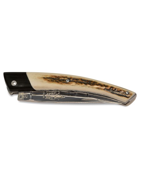 Le Thiers ® Prestige folding knife, false bolster in ebony wood, 12 cm deer antler handle, shiny finish