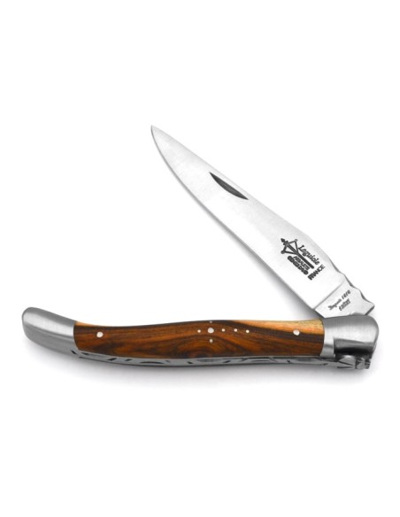 Laguiole folding knife Forged, 12cm pistachio wood handle with matt finish