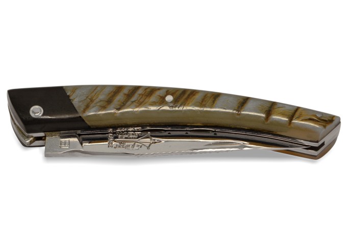 Le Thiers ® Prestige pliant, fausse mitre ébène, manche en corne de bélier de 12 cm, finition brillant