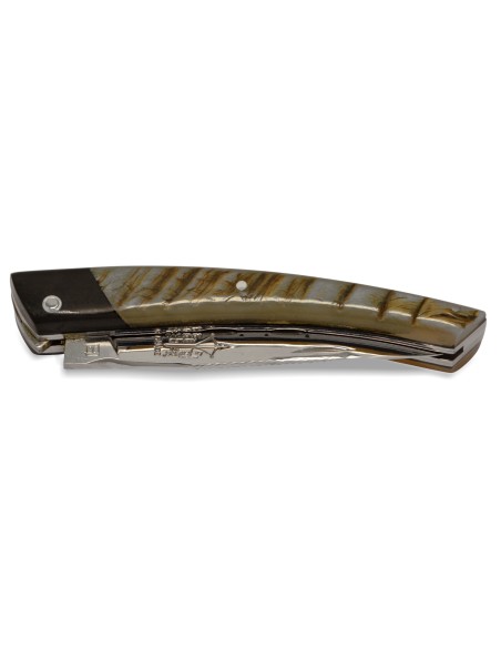 Le Thiers ® Prestige pliant, fausse mitre ébène, manche en corne de bélier de 12 cm, finition brillant