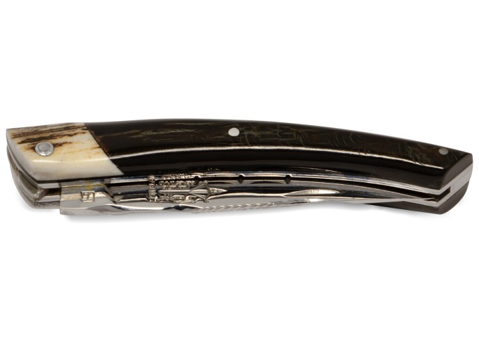 Le Thiers ® knife, black buffalo horn handle with deer antlers bolster