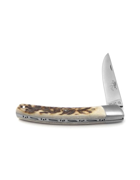Le Thiers ® knife, deer antlers handle - Arbalete G.David