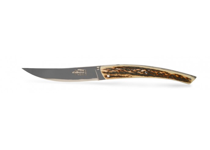 6 Le Thiers ® prestige table knives, full various horn tip handles, matt finish
