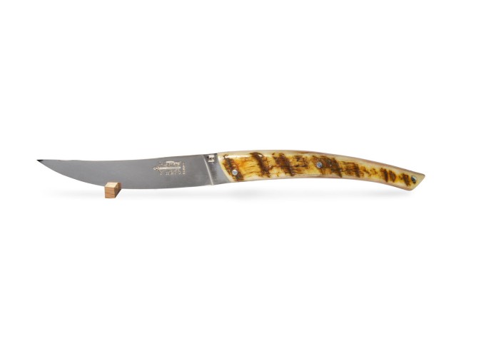 6 Le Thiers ® prestige table knives, full various horn tip handles, matt finish