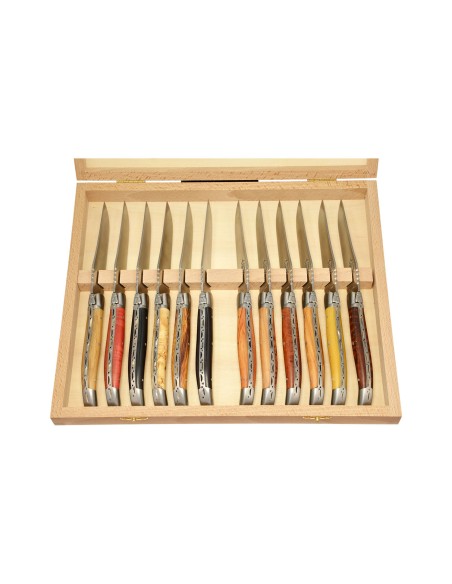 Coffret 12 couteaux Laguiole en Bois Divers 23 cm
