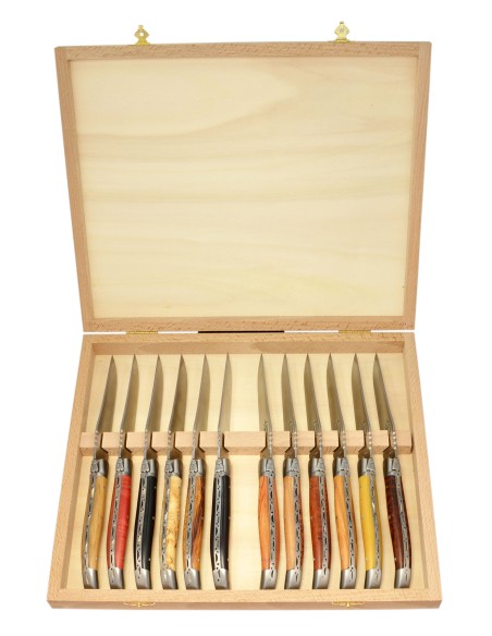 Coffret 12 couteaux Laguiole en Bois Divers 23 cm