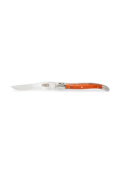 Coffret 12 couteaux Laguiole en Bois Divers 23 cm