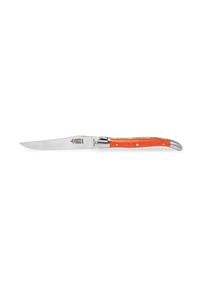 Coffret 12 couteaux Laguiole en Bois Divers 23 cm